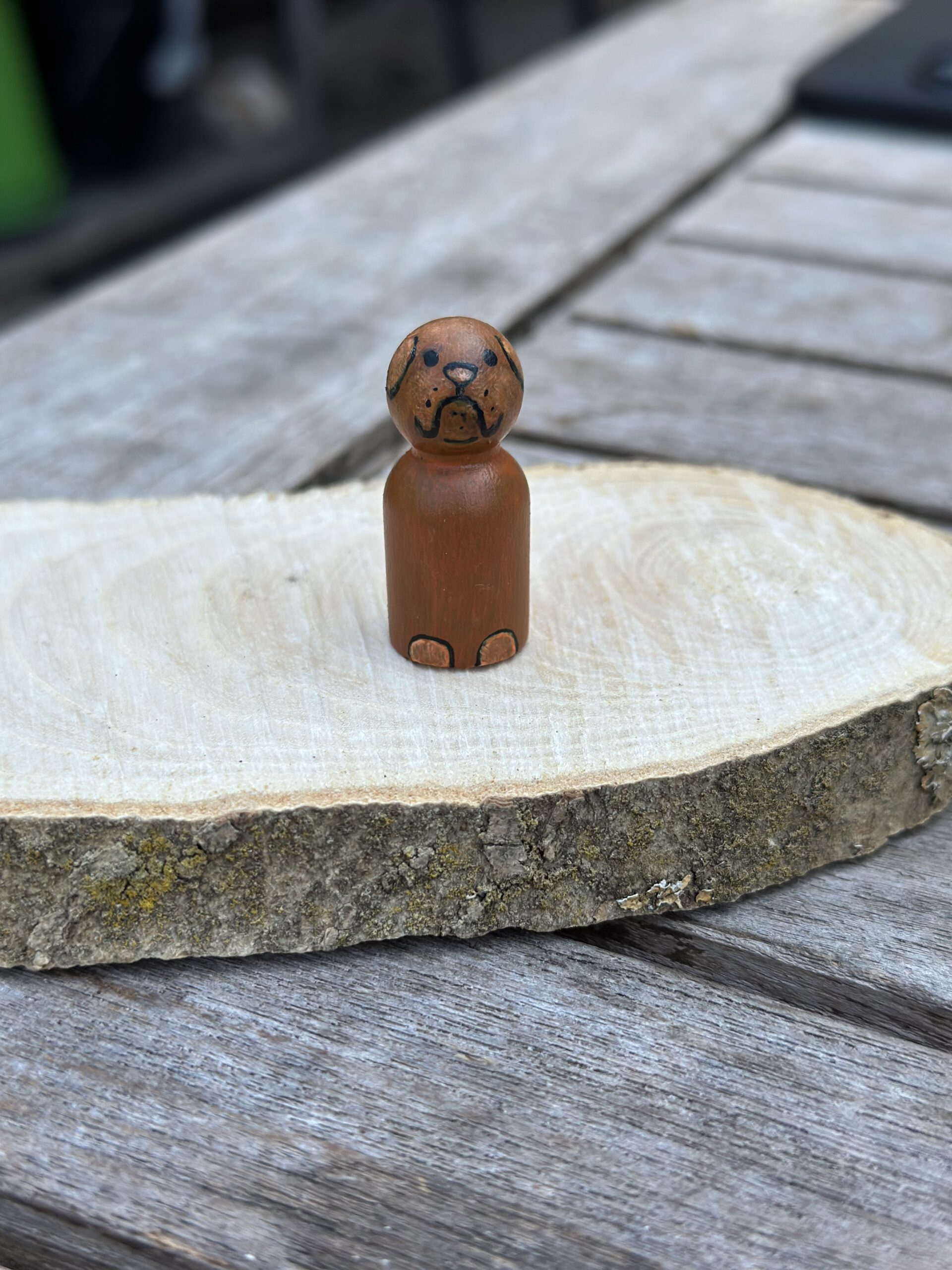 Jouw eigen hond of kat in het klein! incl houten schijfje met droogbloem