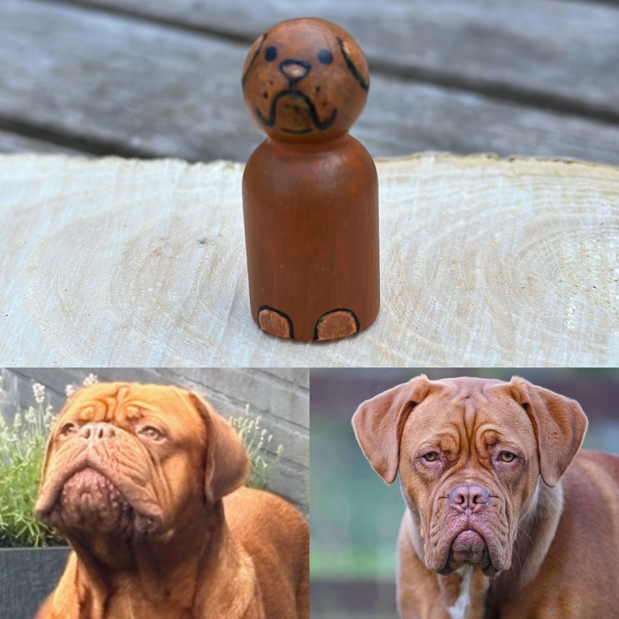 Gepersonaliseerde hond of kat van foto – handbeschilderde peg doll! (incl houten schijfje met droogbloem)